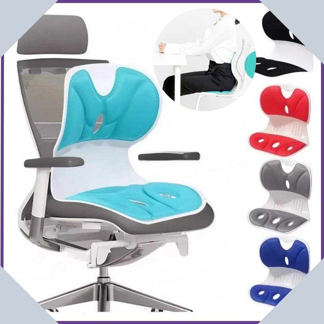 Ergonomic Back Support Lower Cushion / Orthopedic Lumbar Support Shell